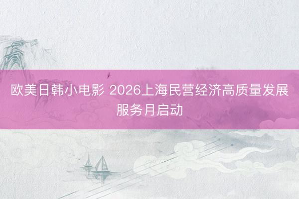欧美日韩小电影 2026上海民营经济高质量发展服务月启动