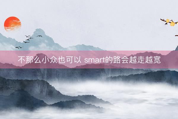 不那么小众也可以 smart的路会越走越宽