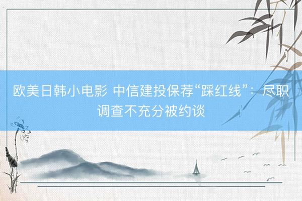 欧美日韩小电影 中信建投保荐“踩红线”：尽职调查不充分被约谈