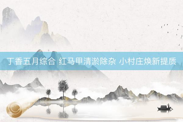丁香五月综合 红马甲清淤除杂 小村庄焕新提质