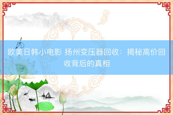 欧美日韩小电影 扬州变压器回收：揭秘高价回收背后的真相
