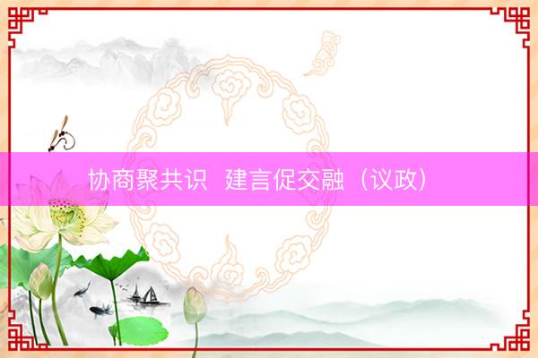 协商聚共识  建言促交融（议政） 