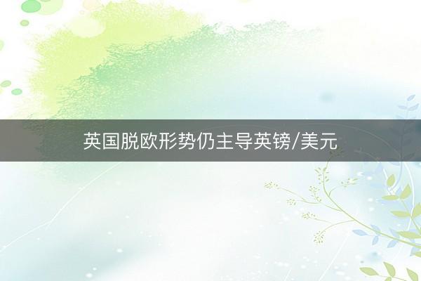 英国脱欧形势仍主导英镑/美元