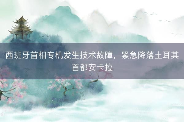 西班牙首相专机发生技术故障，紧急降落土耳其首都安卡拉