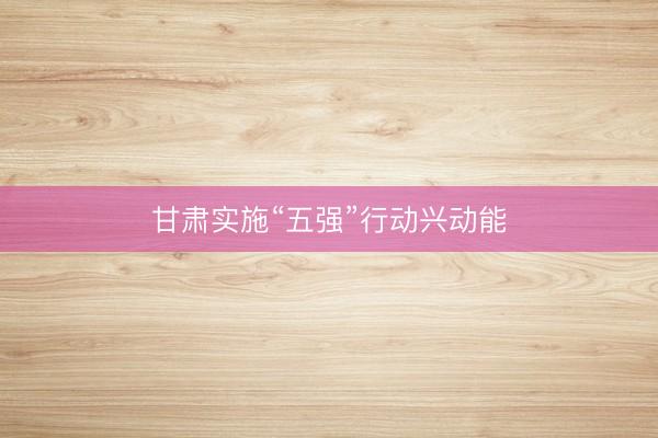 甘肃实施“五强”行动兴动能