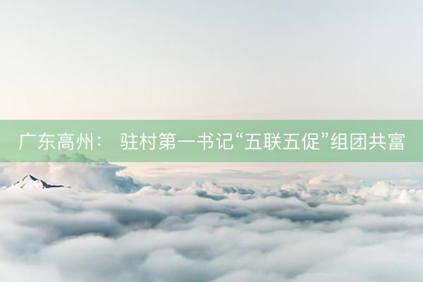广东高州： 驻村第一书记“五联五促”组团共富