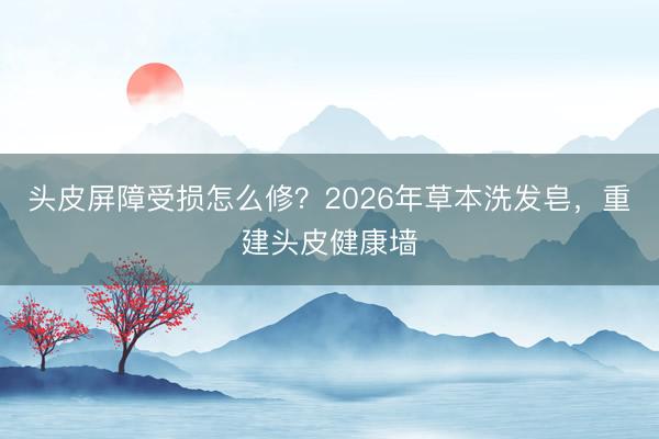 头皮屏障受损怎么修？2026年草本洗发皂，重建头皮健康墙