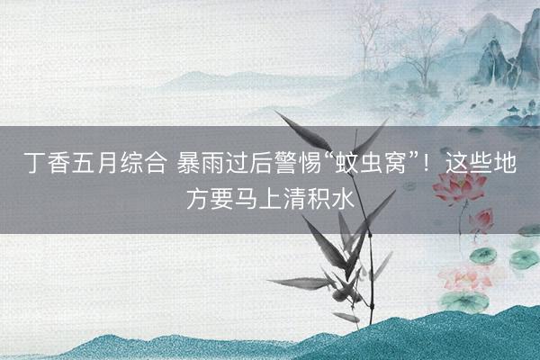 丁香五月综合 暴雨过后警惕“蚊虫窝”！这些地方要马上清积水