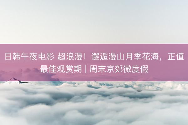 日韩午夜电影 超浪漫！邂逅漫山月季花海，正值最佳观赏期 | 周末京郊微度假