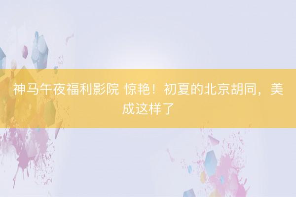 神马午夜福利影院 惊艳！初夏的北京胡同，美成这样了
