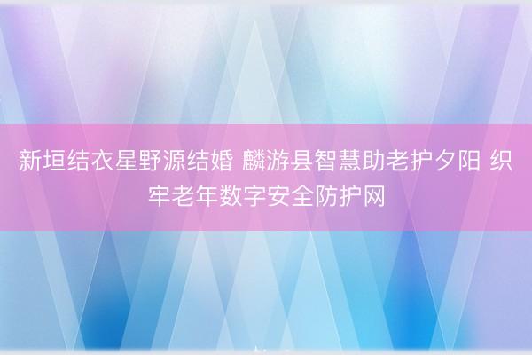 新垣结衣星野源结婚 麟游县智慧助老护夕阳 织牢老年数字安全防护网
