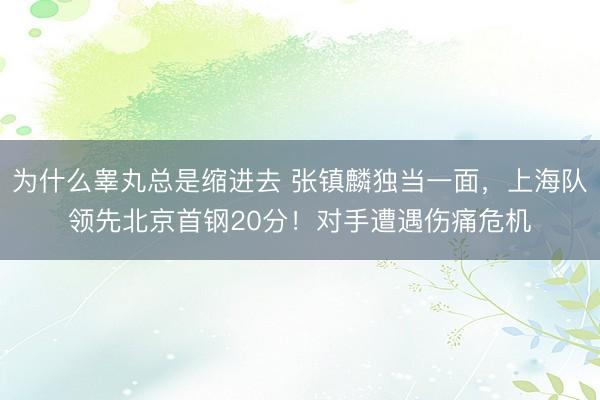 为什么睾丸总是缩进去 张镇麟独当一面，上海队领先北京首钢20分！对手遭遇伤痛危机