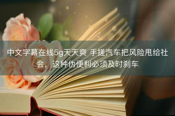 中文字幕在线5g天天爽 手搓汽车把风险甩给社会,这种伪便利必须及时刹车