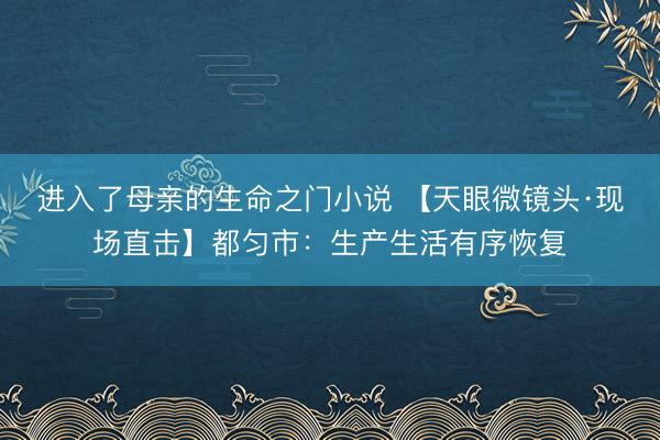进入了母亲的生命之门小说 【天眼微镜头·现场直击】都匀市：生产生活有序恢复