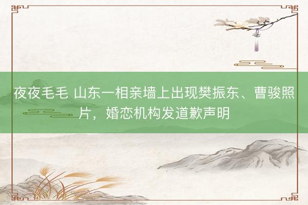 夜夜毛毛 山东一相亲墙上出现樊振东、曹骏照片，婚恋机构发道歉声明