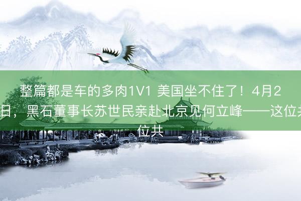 整篇都是车的多肉1V1 美国坐不住了！4月23日，黑石董事长苏世民亲赴北京见何立峰——这位共