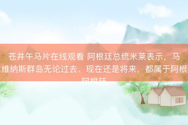 苍井午马片在线观看 阿根廷总统米莱表示，马尔维纳斯群岛无论过去、现在还是将来，都属于阿根廷