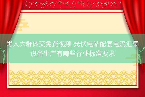 黑人大群体交免费视频 光伏电站配套电流汇集设备生产有哪些行业标准要求