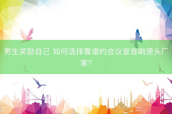 男生奖励自己 如何选择靠谱的会议室音响源头厂家?