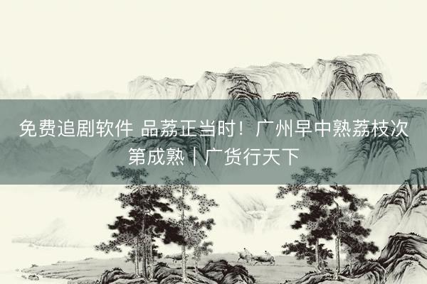 免费追剧软件 品荔正当时!广州早中熟荔枝次第成熟|广货行天下