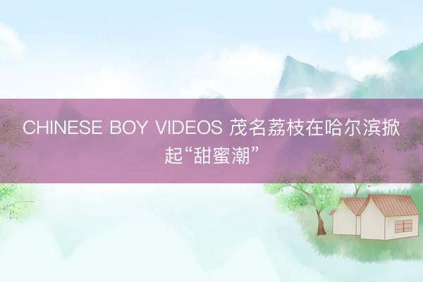 CHINESE BOY VIDEOS 茂名荔枝在哈尔滨掀起“甜蜜潮”