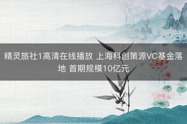 精灵旅社1高清在线播放 上海科创策源VC基金落地 首期规模10亿元