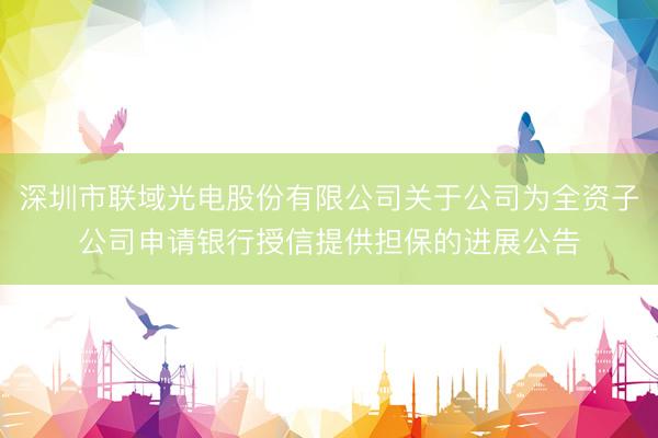 深圳市联域光电股份有限公司关于公司为全资子公司申请银行授信提供担保的进展公告