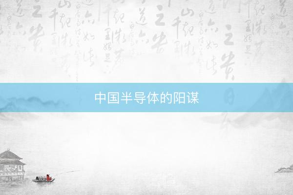 中国半导体的阳谋