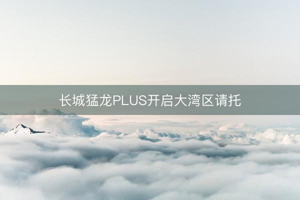 长城猛龙PLUS开启大湾区请托