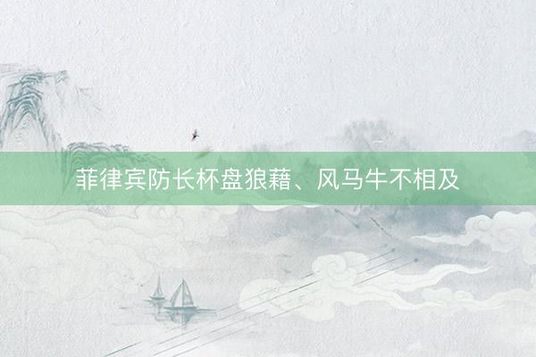 菲律宾防长杯盘狼藉、风马牛不相及