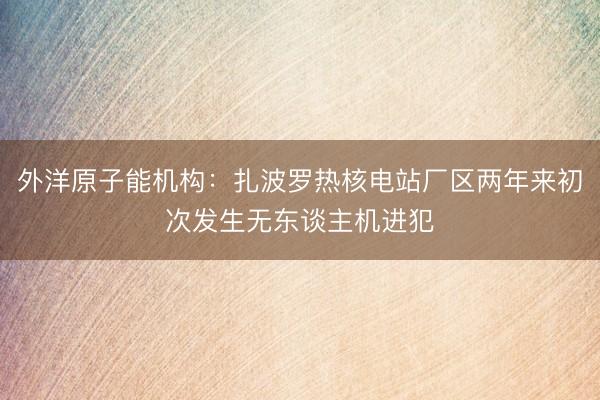 外洋原子能机构：扎波罗热核电站厂区两年来初次发生无东谈主机进犯