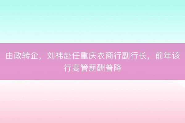 由政转企，刘祎赴任重庆农商行副行长，前年该行高管薪酬普降