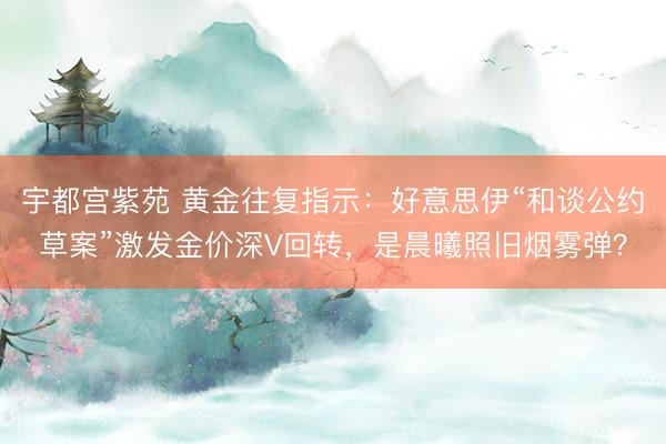 宇都宫紫苑 黄金往复指示：好意思伊“和谈公约草案”激发金价深V回转，是晨曦照旧烟雾弹？
