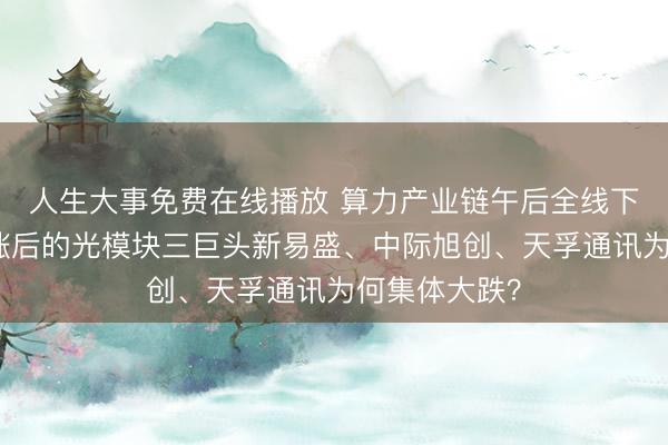 人生大事免费在线播放 算力产业链午后全线下降,相接大涨后的光模块三巨头新易盛、中际旭创、天孚通讯为何集体大跌?
