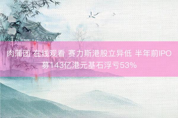 肉蒲团 在线观看 赛力斯港股立异低 半年前IPO募143亿港元基石浮亏53%