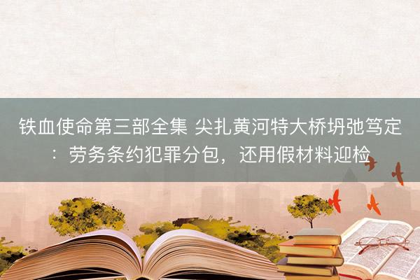 铁血使命第三部全集 尖扎黄河特大桥坍弛笃定：劳务条约犯罪分包，还用假材料迎检