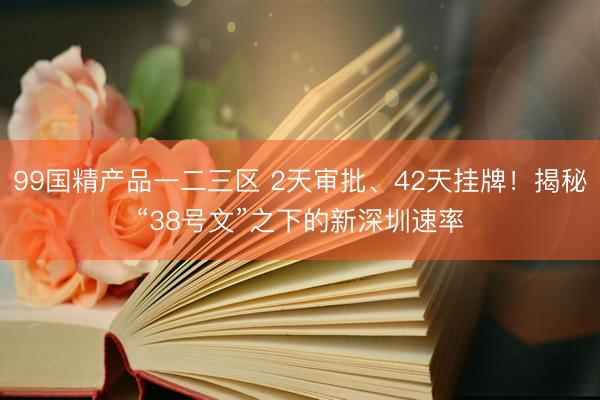 99国精产品一二三区 2天审批、42天挂牌！揭秘“38号文”之下的新深圳速率