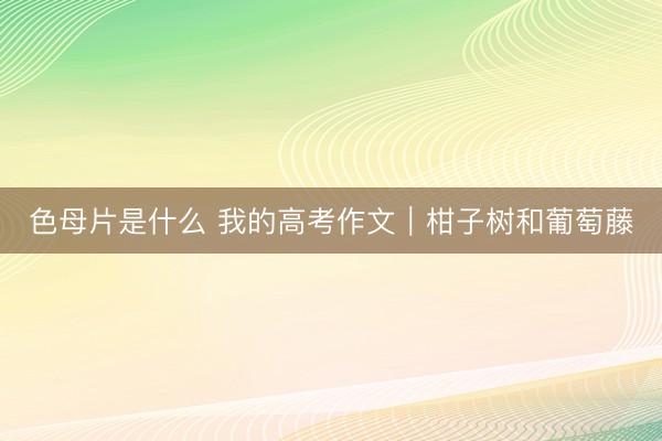色母片是什么 我的高考作文｜柑子树和葡萄藤