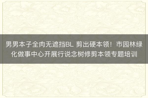 男男本子全肉无遮挡BL 剪出硬本领！市园林绿化做事中心开展行说念树修剪本领专题培训