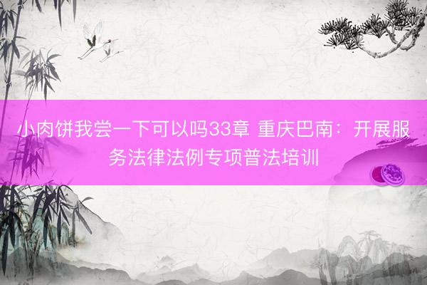小肉饼我尝一下可以吗33章 重庆巴南：开展服务法律法例专项普法培训