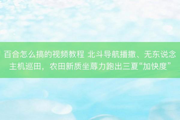 百合怎么搞的视频教程 北斗导航播撒、无东说念主机巡田，农田新质坐蓐力跑出三夏“加快度”