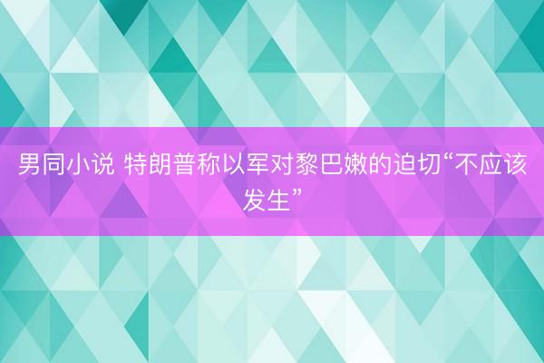 男同小说 特朗普称以军对黎巴嫩的迫切“不应该发生”