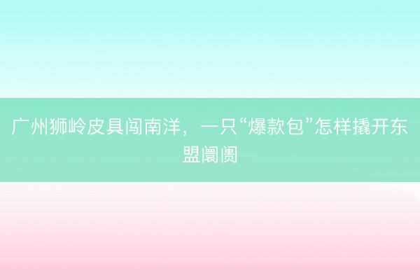 广州狮岭皮具闯南洋,一只“爆款包”怎样撬开东盟阛阓