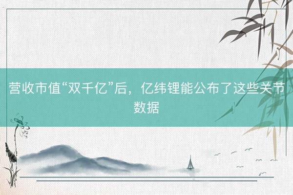 营收市值“双千亿”后，亿纬锂能公布了这些关节数据